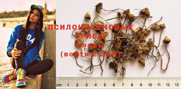 амф Пересвет