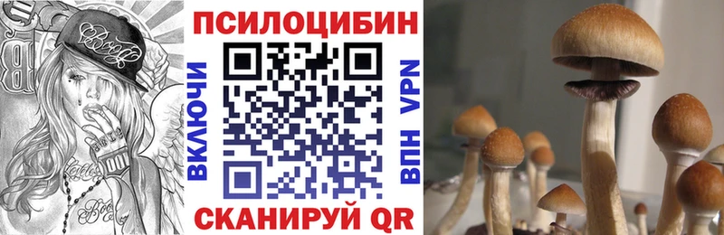 Псилоцибиновые грибы Psilocybine cubensis  Купить закладки  Чухлома 